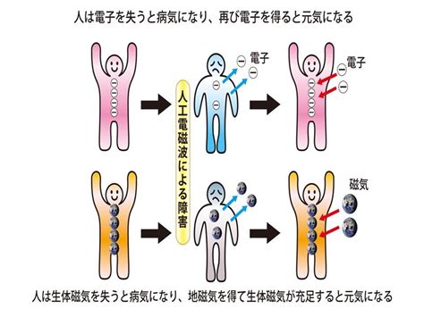 磁場 人間 影響|STATIC EHC Preamble Chapter 9 Japanese